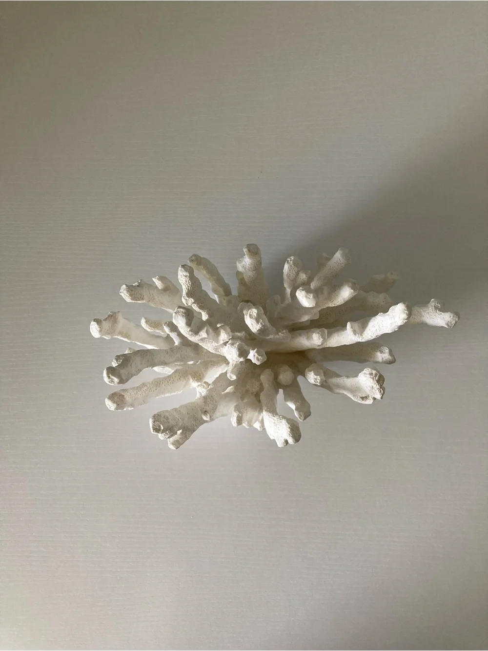 Pottery Barn resin coral sculpture